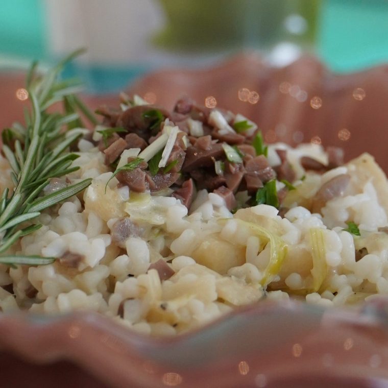 Copy_of_Copia_de_DSC08505