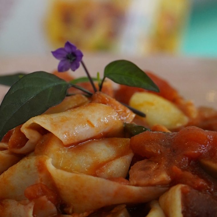 Copy_of_Copia_de_DSC08542