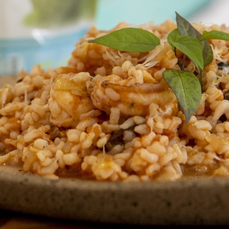 Copy_of_Copia_de_mari_dias__51_1