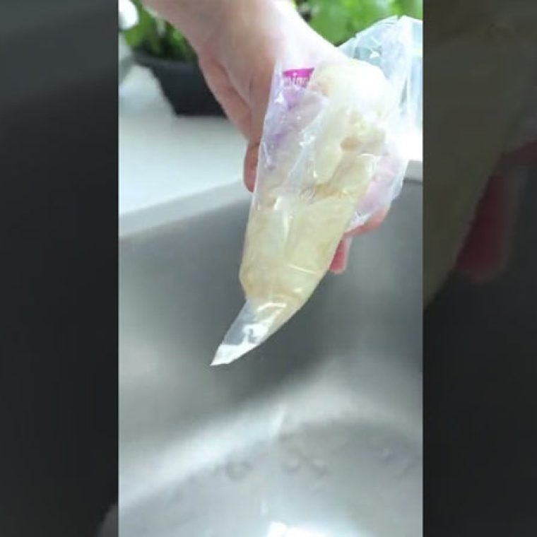 Imagem-Lasanha-Konjac-MF-recheada-de-cogumelos