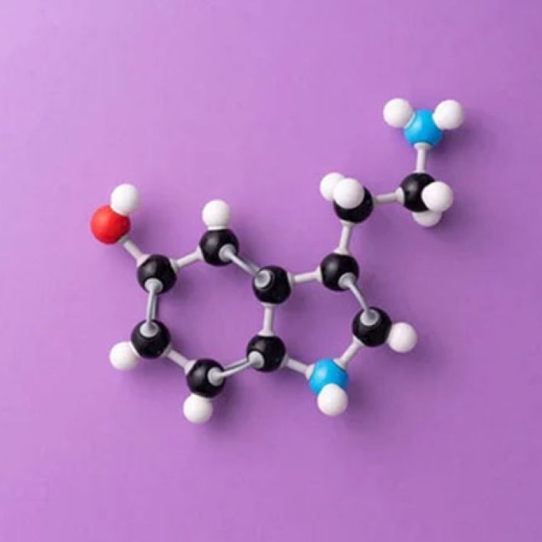 Imagem-Serotonina-Onde-encontramos-a-felicidade