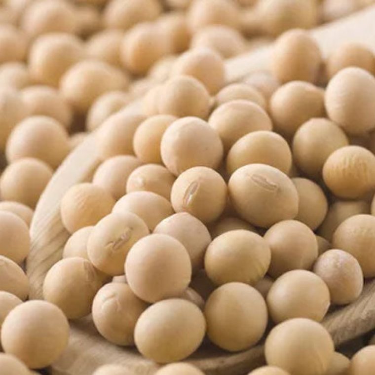 Imagem-banner-Alimentos-funcionais-o-que-sao-e-seus-beneficios